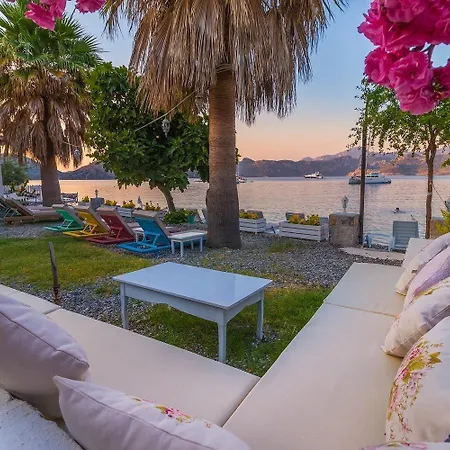 Tamara Bed & Breakfast