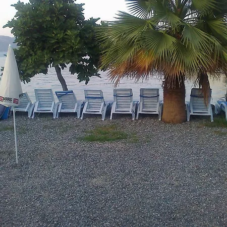 Bed & Breakfast Tamara *