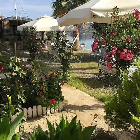 住宿加早餐酒店 Tamara