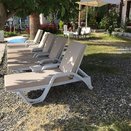 Bed & Breakfast Tamara *