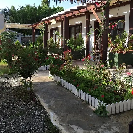 Tamara Selimiye (Aegean)