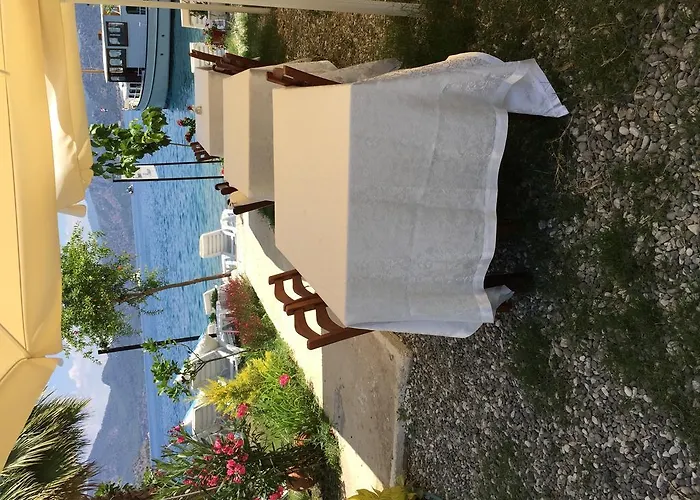 Tamara 住宿加早餐酒店