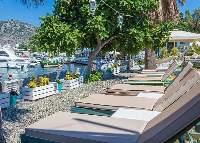 Tamara 住宿加早餐酒店