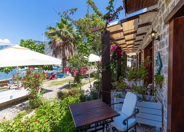 Tamara 住宿加早餐酒店