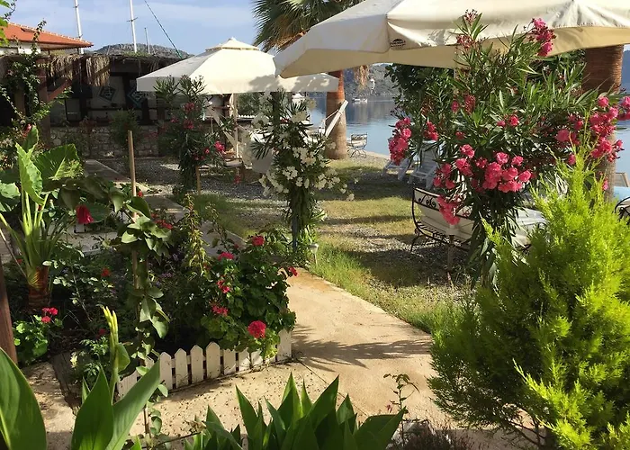 住宿加早餐酒店 Tamara