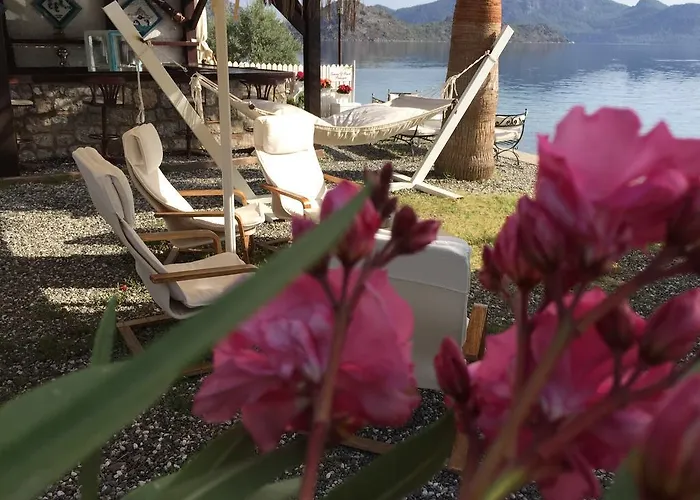 住宿加早餐酒店 Tamara